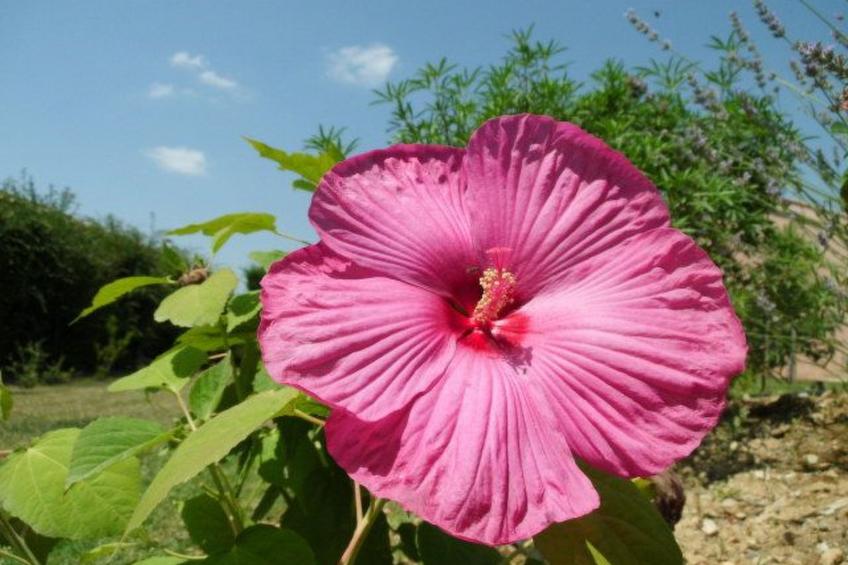 im Luberon Provence - foto 20