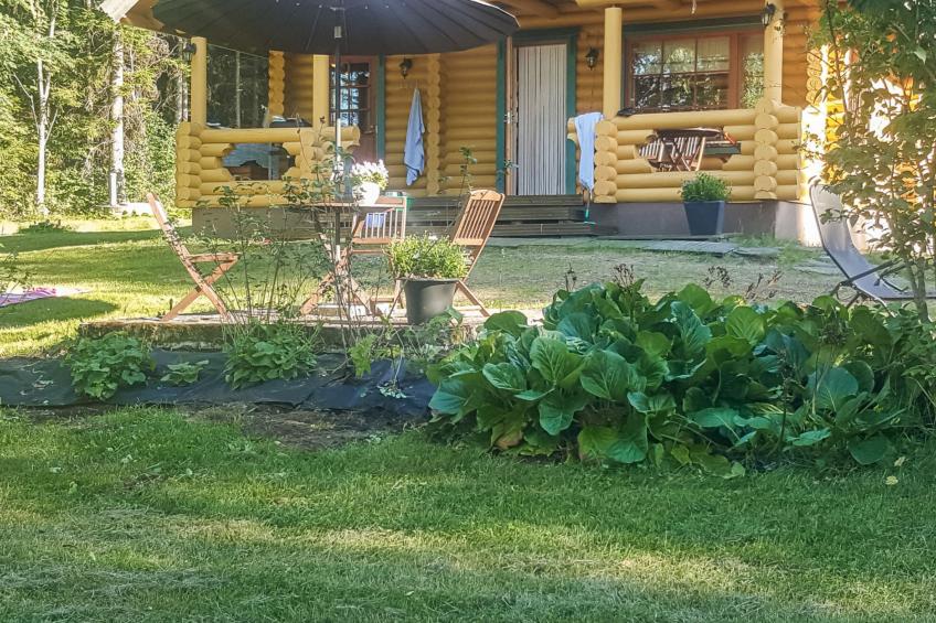 Heituinlahti, mäntyniemi - foto 5