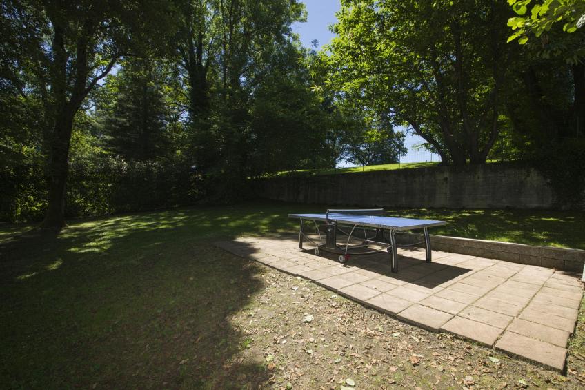 Rododendro Rosso - foto 29