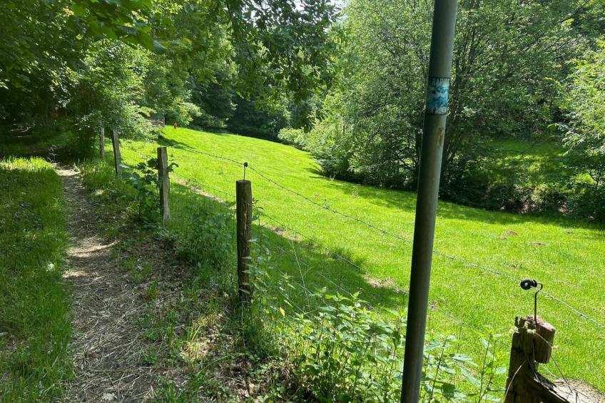 The Forest Retreat - foto 44