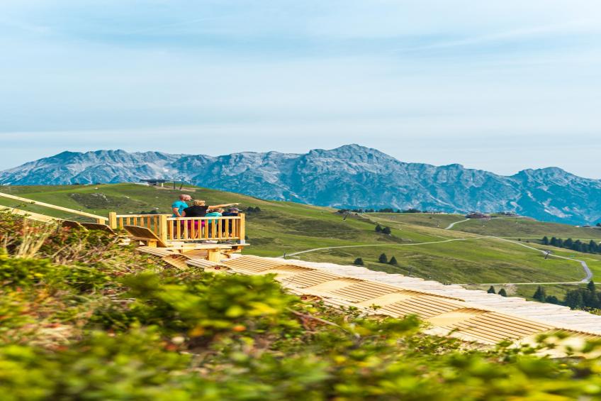 Appartement "Gams-Bartl"  1-2 Personen - foto 26