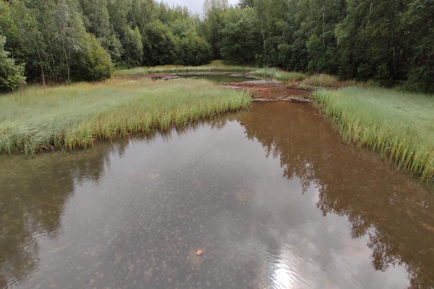 Superior Double Room - foto 35