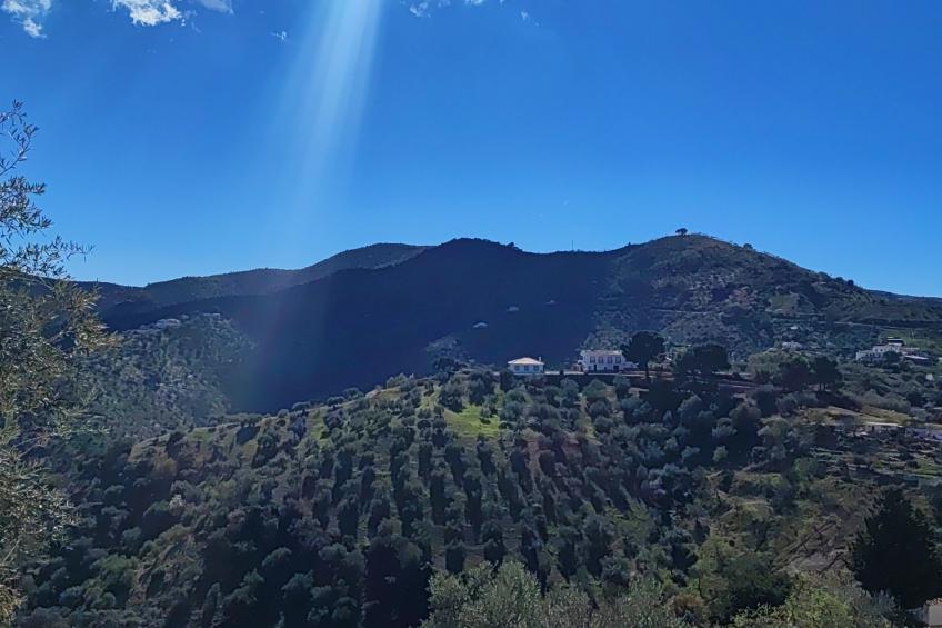 Villa José 2, beheizter Pool, Meerblick. - foto 47