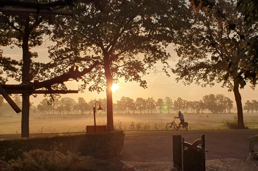 Landelijk Utrecht - foto 23