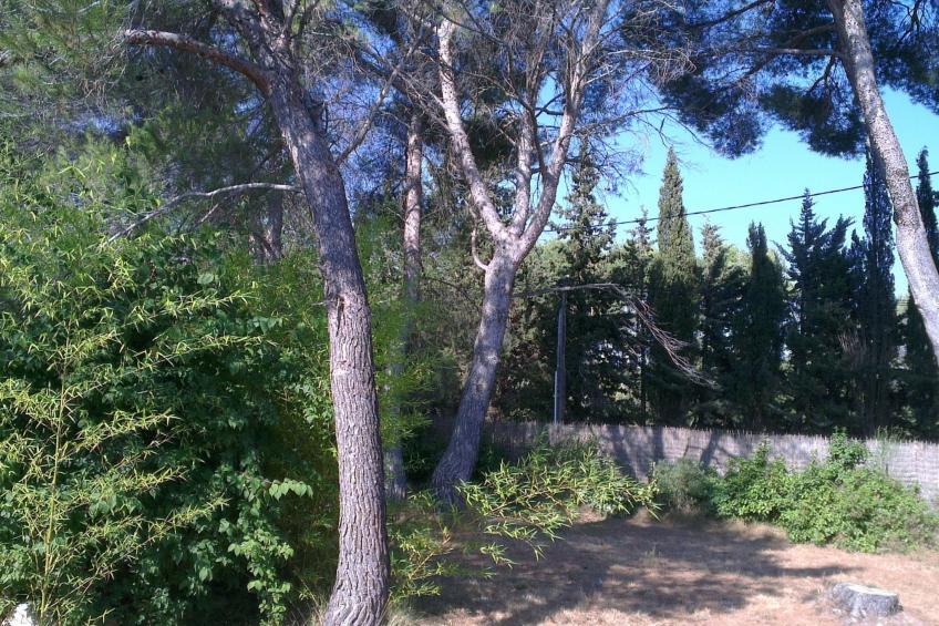 la petite maison sous les pinins-innenpool - foto 13