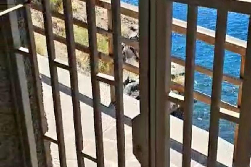 Luxuriöser Rückzugsort mit direktem Meerzugang und Pool - foto 70