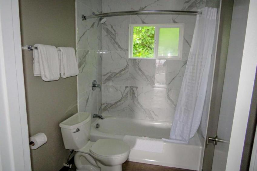 1 Queen Bed  Non-Smoking Shower - foto 8