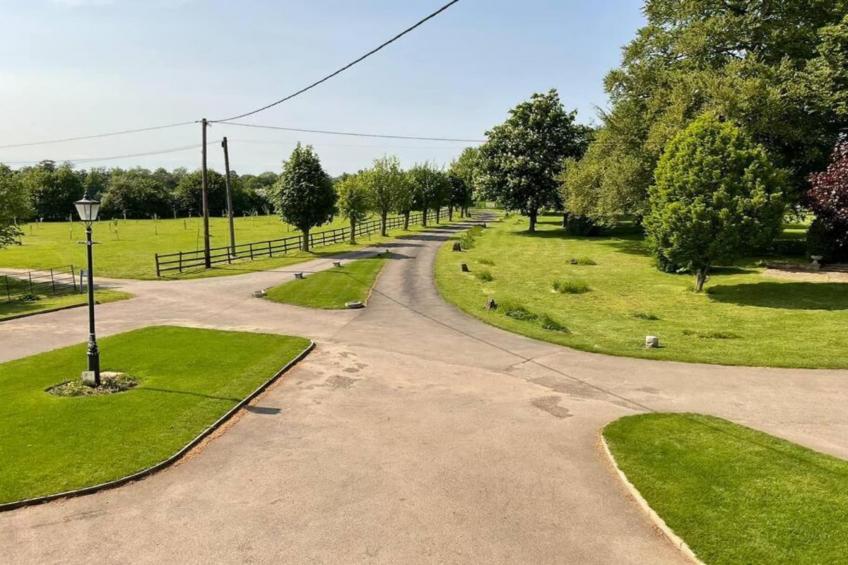 The Cornflower - foto 29