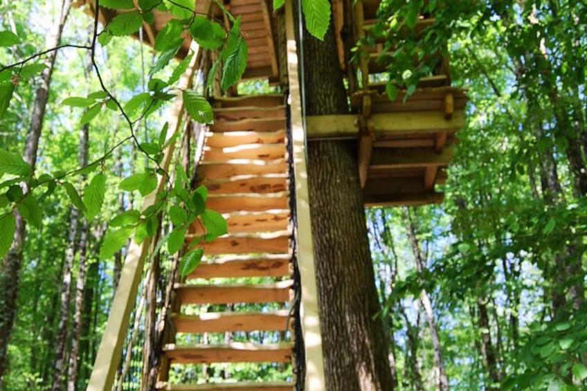 Parc de la Belle - foto 13