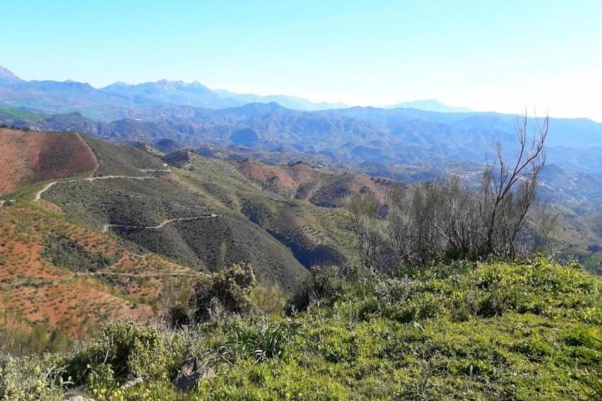 Casa el cielo - foto 34