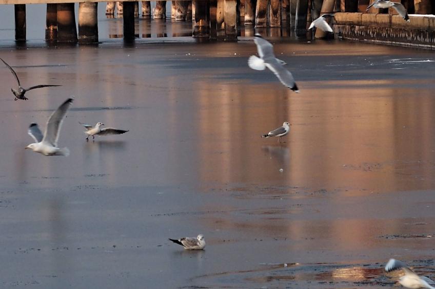 Moderne Ferienwohnung mit Balkon, nur 500 Meter von Meer und Strand entfernt - foto 32