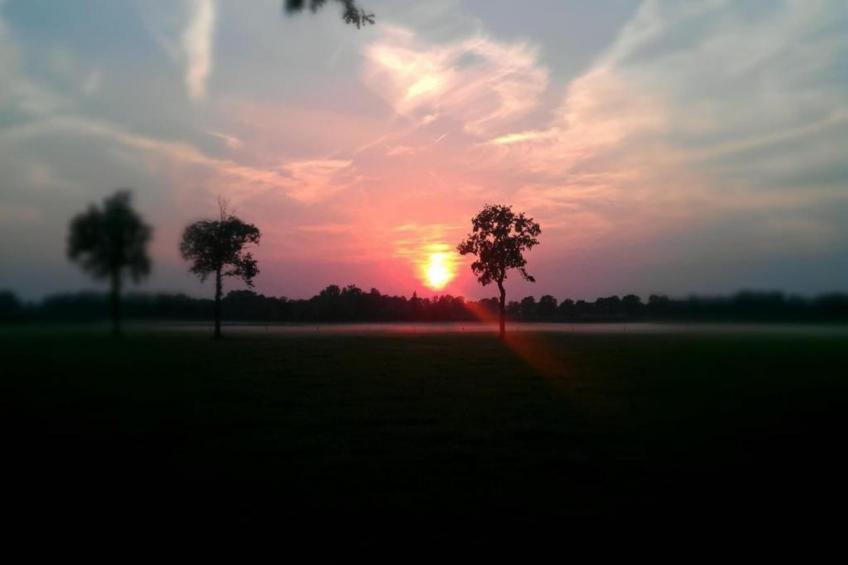 Vakantiepark Hessenheem 2 - foto 24