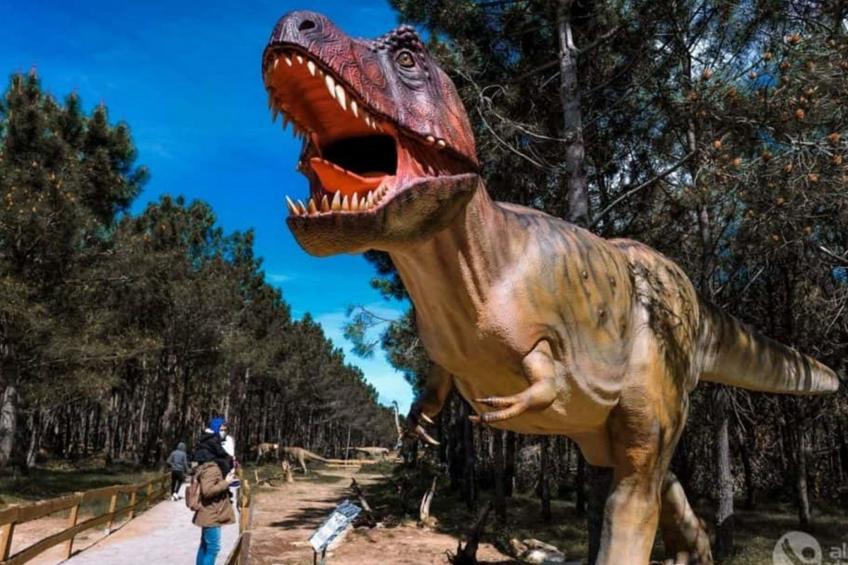 Heilige Efigenie - foto 55