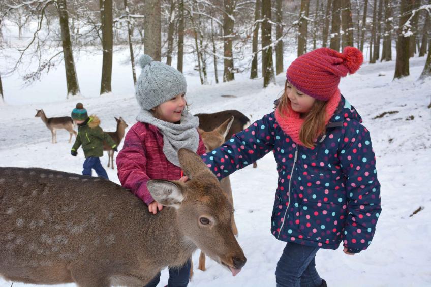 Maison de vacances dans le Center Parcs Park Allgäu - BF-24JDN - foto 37