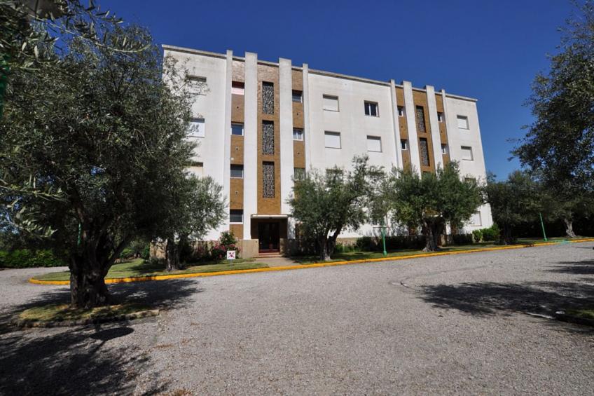 1141 MAS OLIVA con Piscina - foto 31