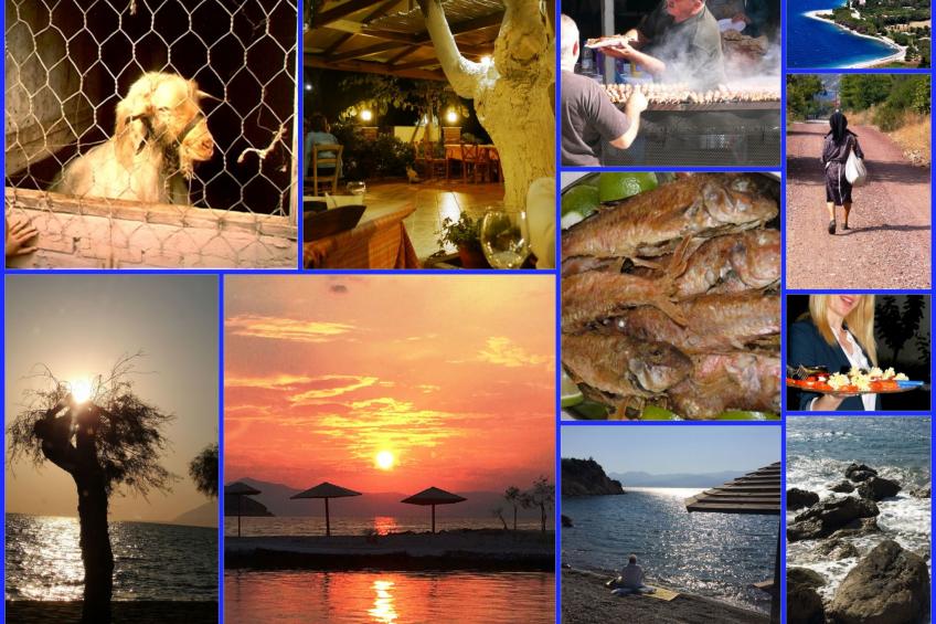 Spiti Louloudia - foto 55