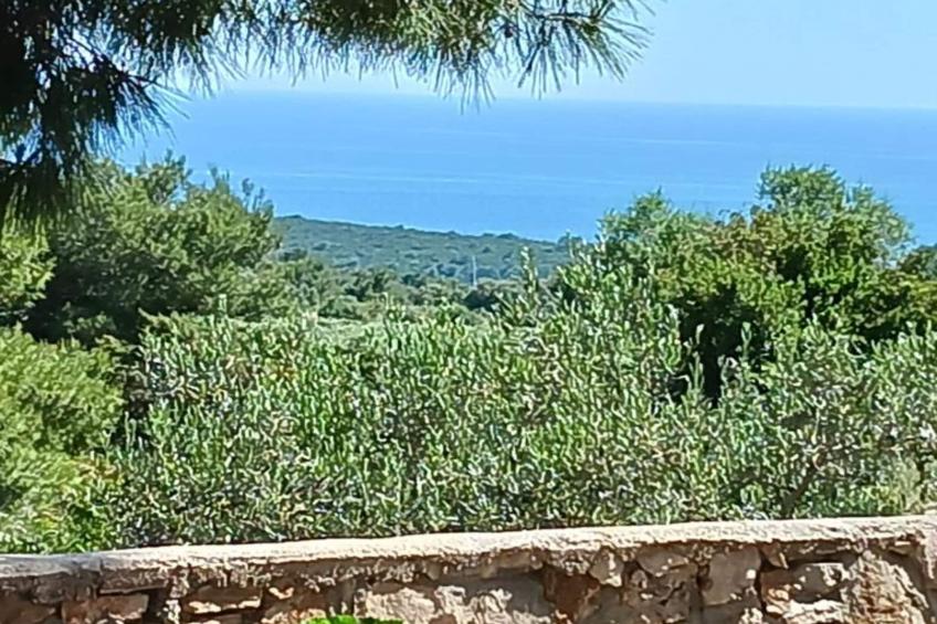 Apartmani Green Oasis - One Bedroom Apartment with Terrace and Sea View - foto 16