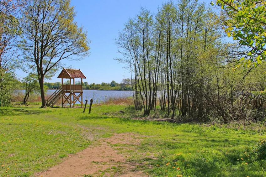 Am Gänsegarten - XL - foto 32