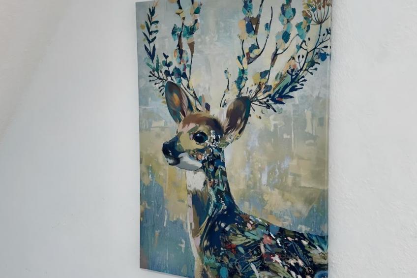 FeWo Am Waldhügelsee - foto 13