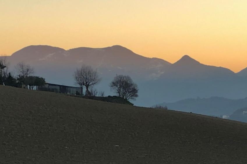 Bauernhaus Santa Maria del Monte - foto 17