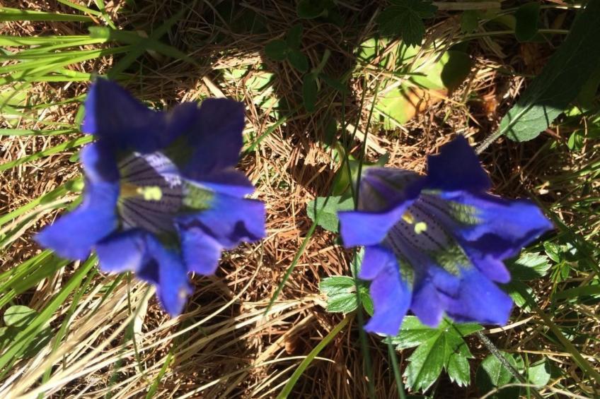 Ers Curtins - foto 30