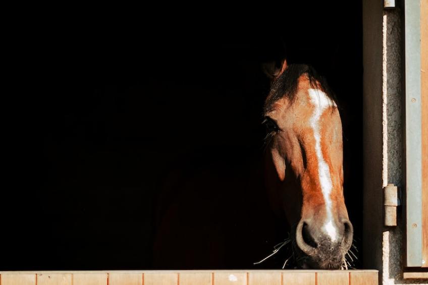 Louis Lumi?re - foto 18