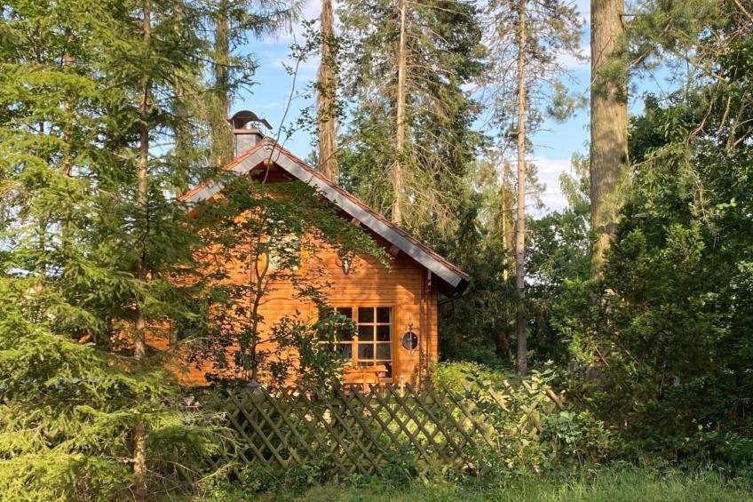 WaldhausEichhörnchen - foto 26