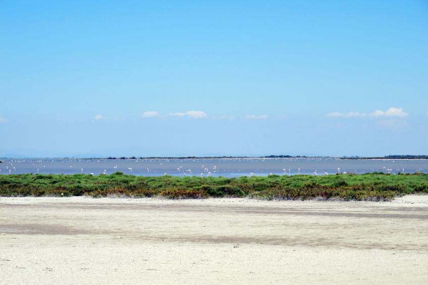 Cap Camargue A N 14 - 2P4 - foto 8
