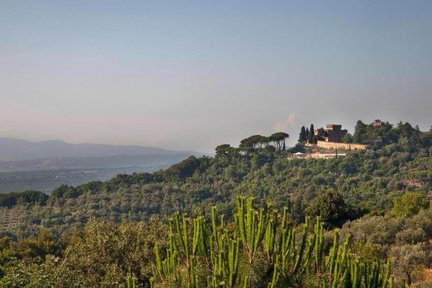 Castagneto1 - foto 29