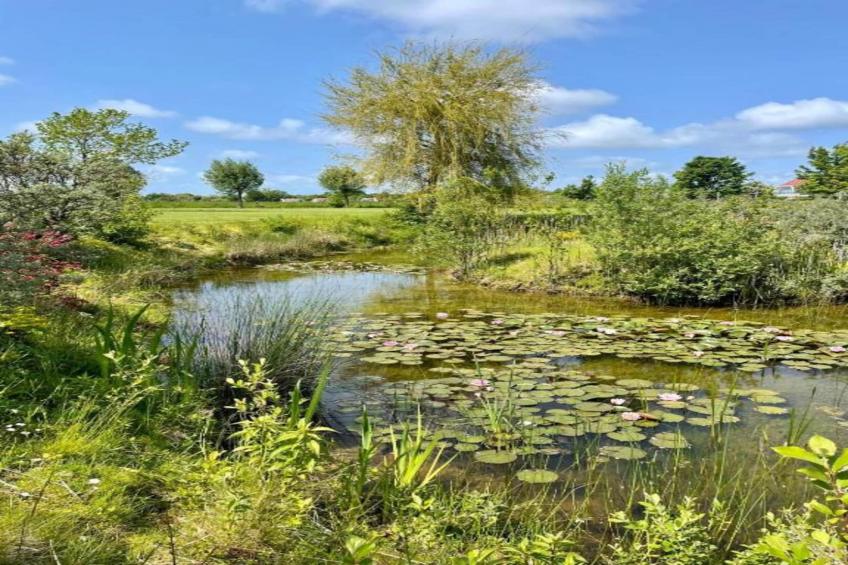 Kon Emmaweg 26 Vrouwenpolder 2p - foto 20