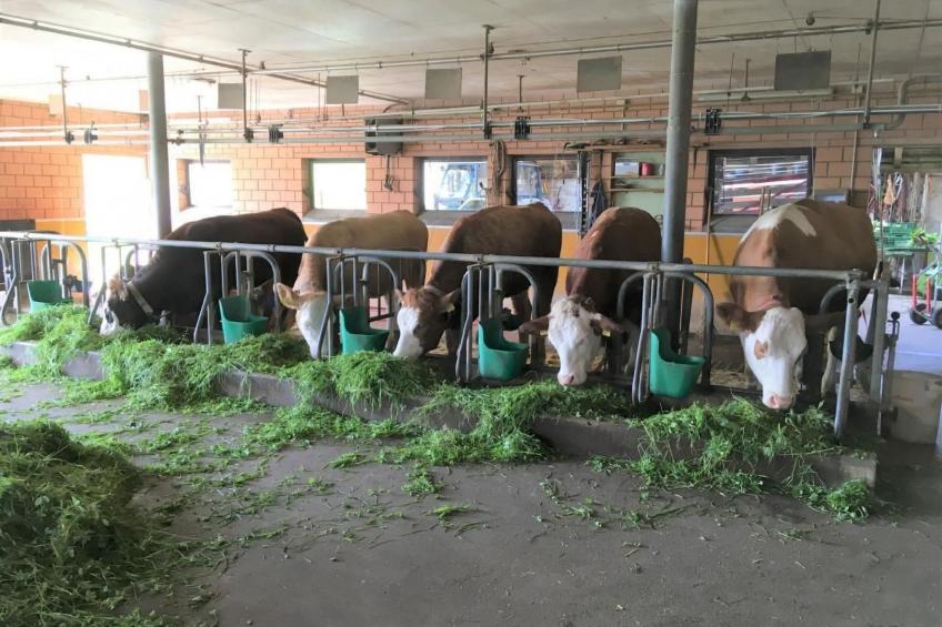 Bauernhof Gerber - foto 22