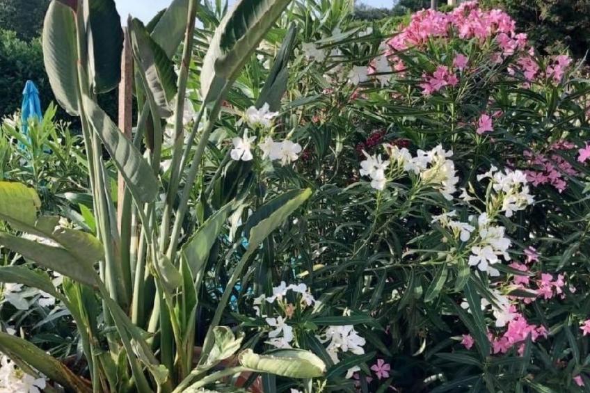 Côte d'Azur ganze Villa beheizter Pool Meerblick - foto 36