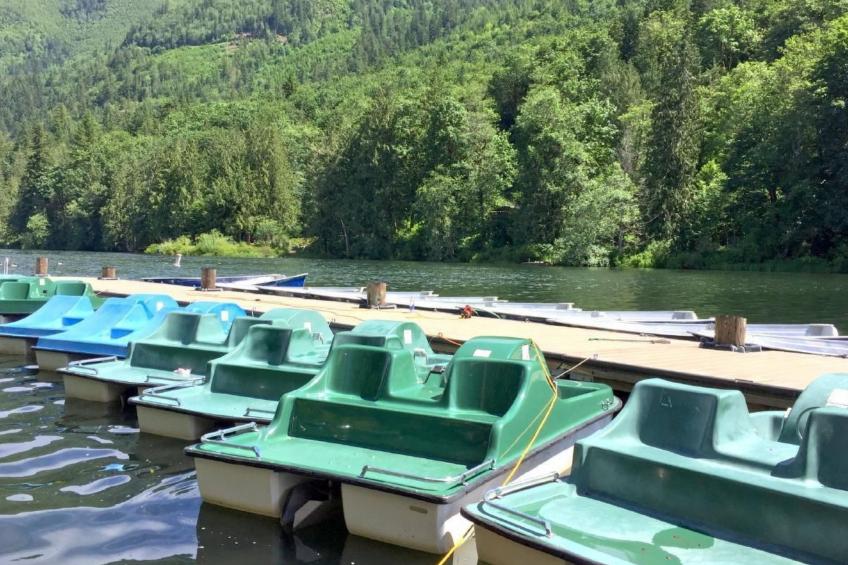 Hütte am See mit Whirlpool, Haustiere OK, Seezugang - foto 24