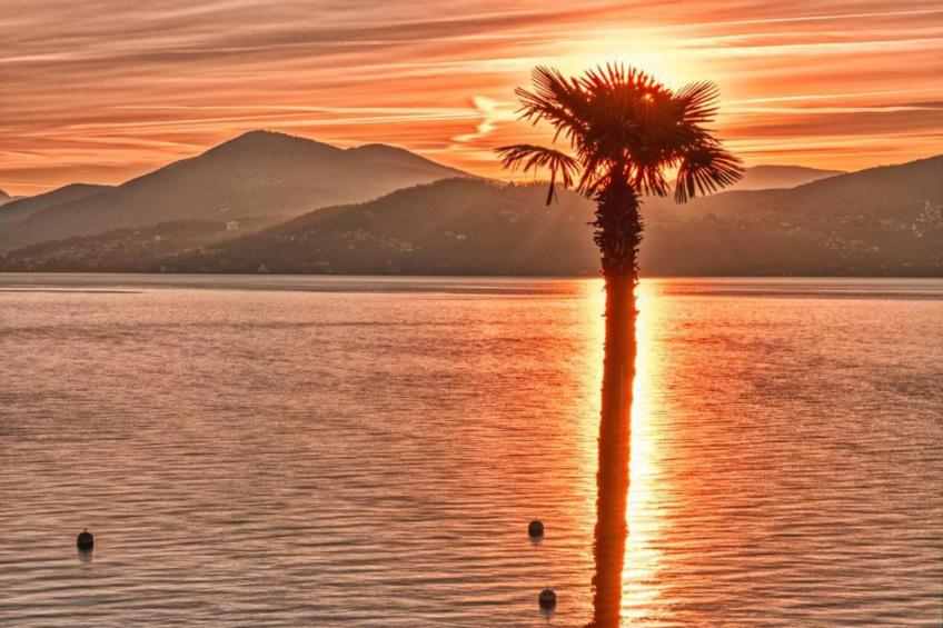 Terrazza sul Lago - foto 40