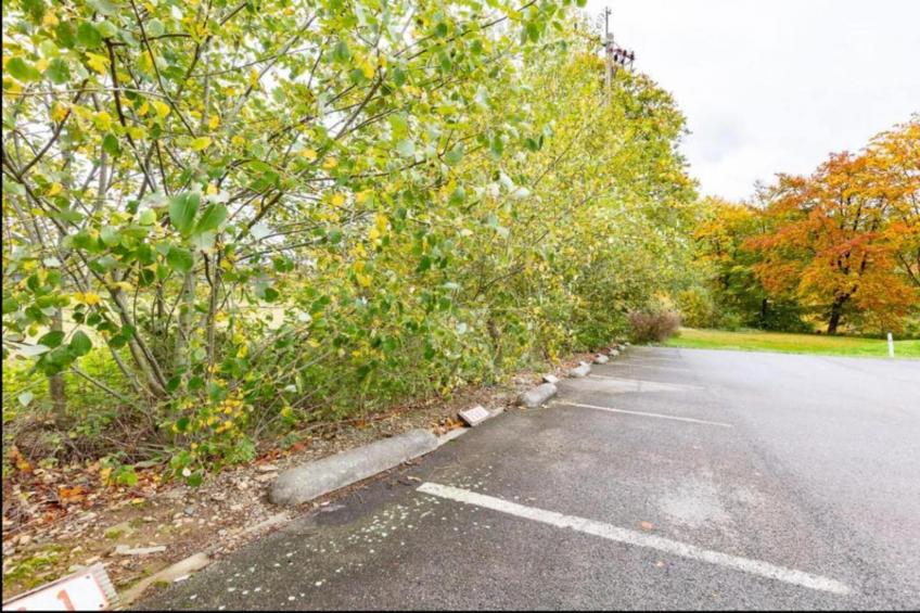 La Fausse Epine - foto 34