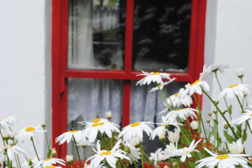 Minie's Cottage Wild Atlantic Way - foto 3