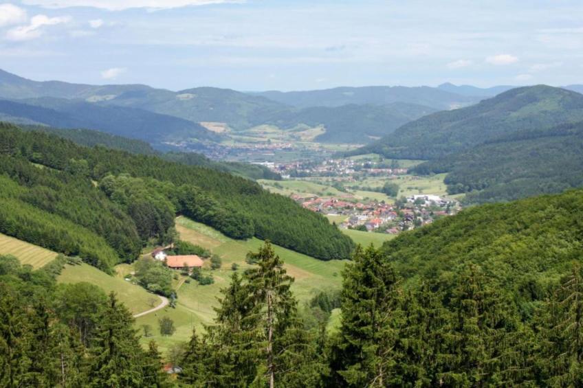 Panoramablick - foto 30