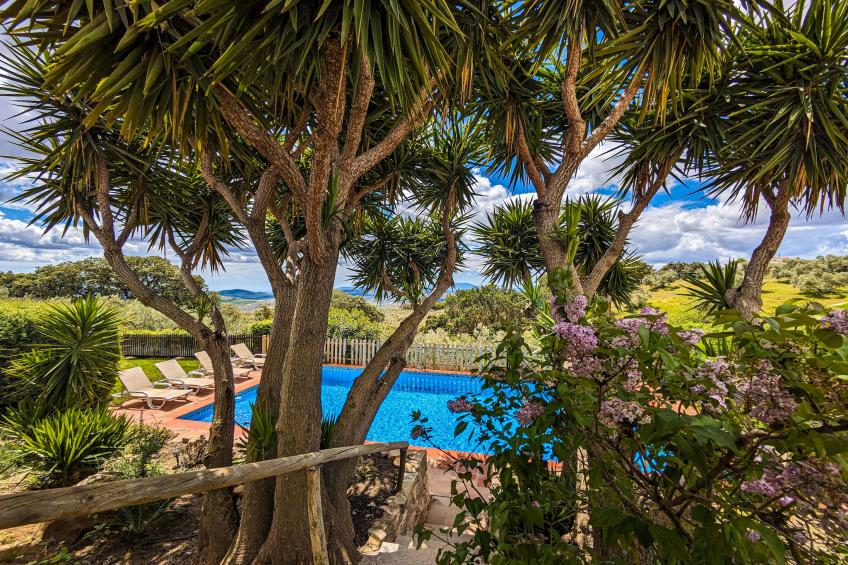 Finca las Chozas - foto 14