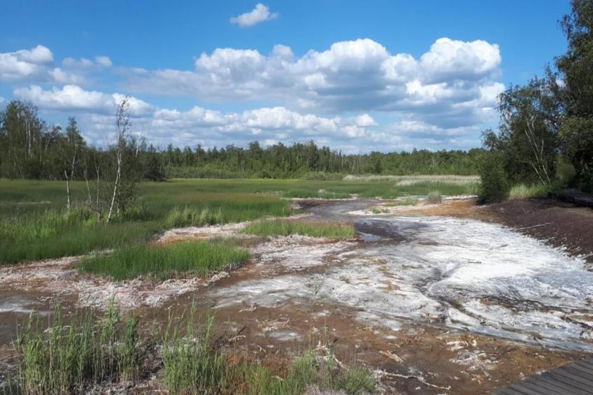 Ferienhaus Anna - foto 25