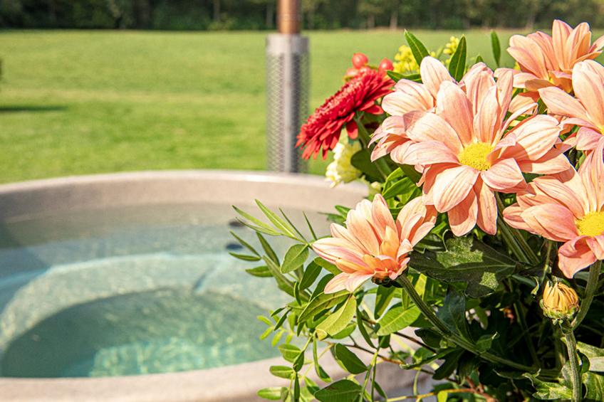 De Regenboog - foto 4