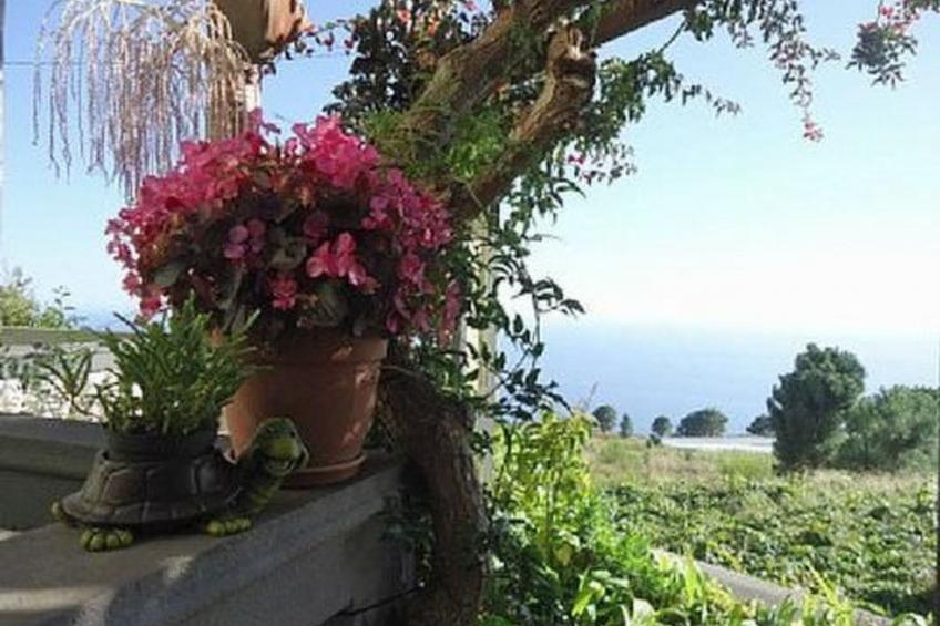 Schönes Ferienhaus in Prazeres - foto 12