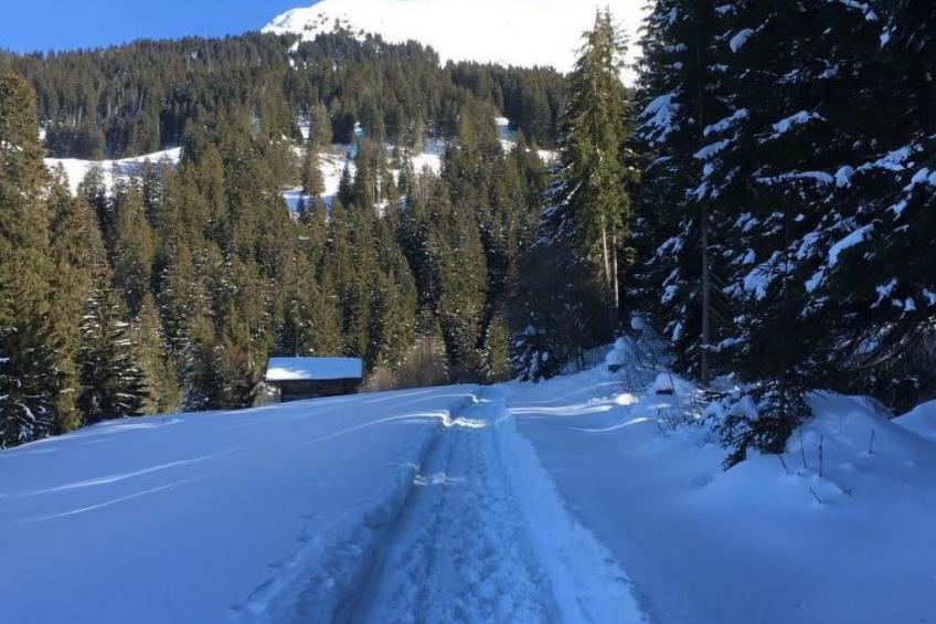 Fewo mit Herz - foto 40