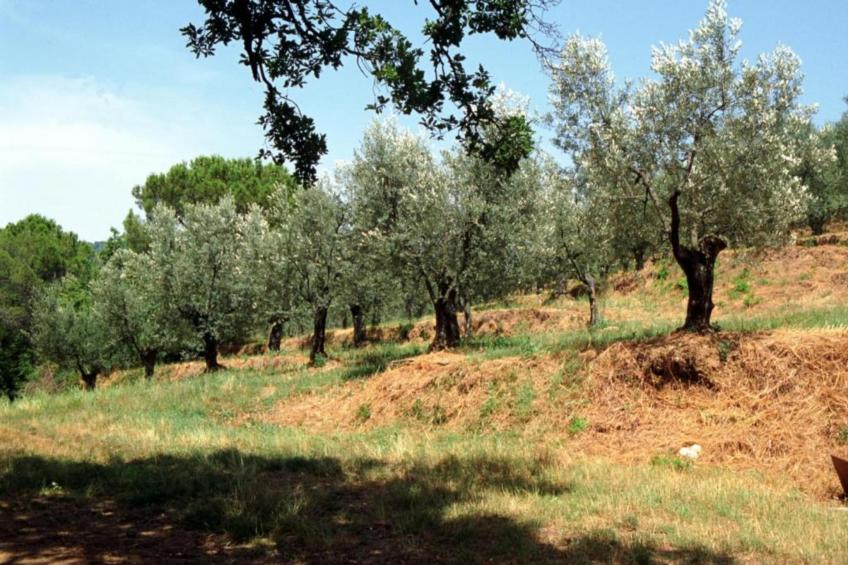 La Casa del Nonno - foto 27