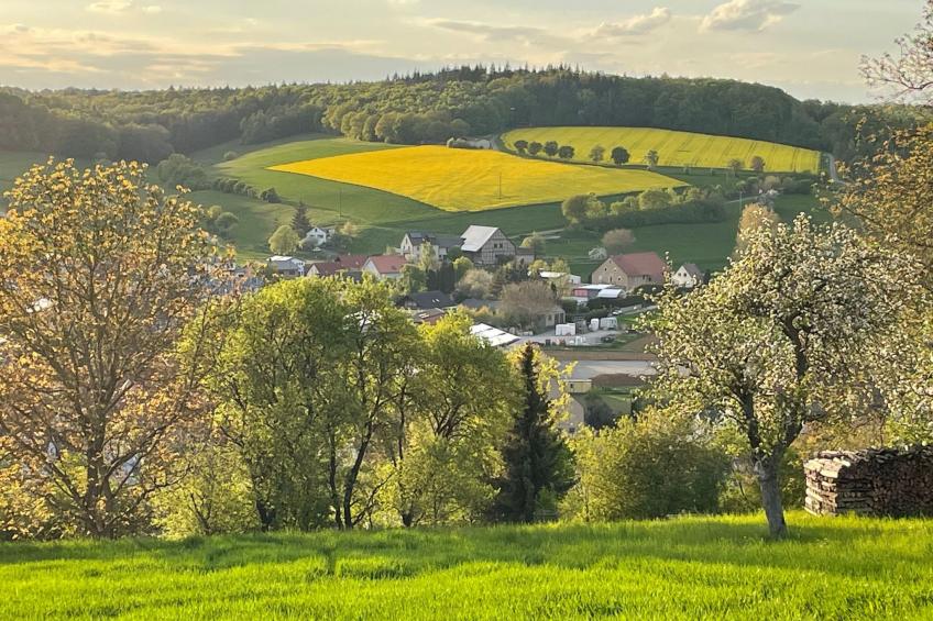 Nassauer Forsthaus - foto 31