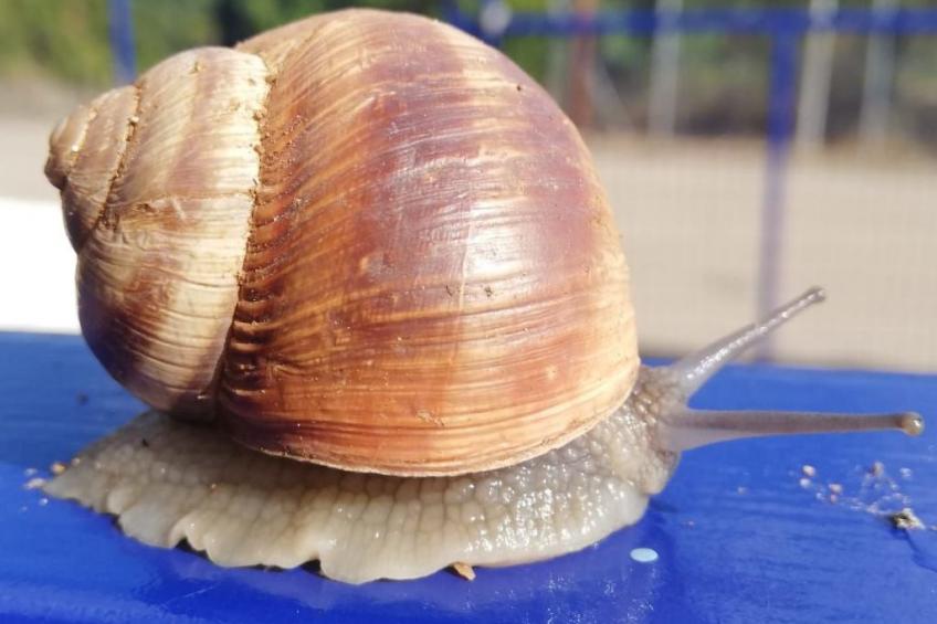 Villa Blue Cocoon mit Meerblick - foto 27