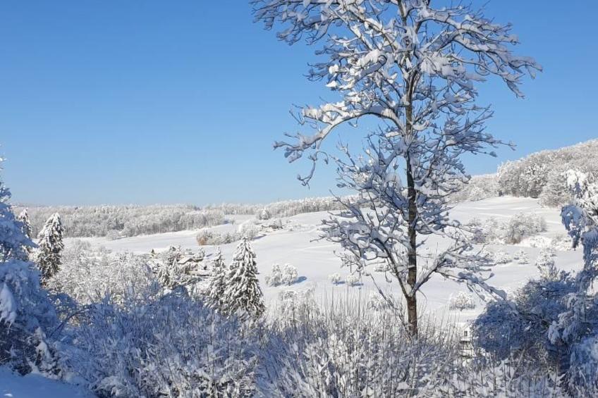 Ferienhüsli - foto 16