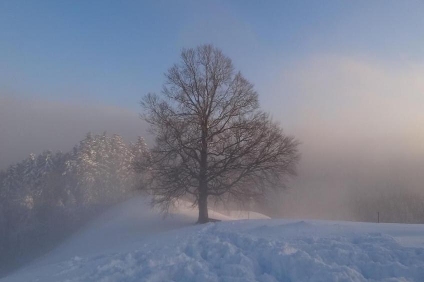 Haus am Sternsberg - foto 30