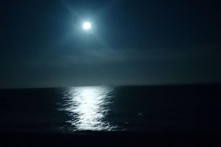 "Stewart" mit Blick auf das Wasser - foto 25