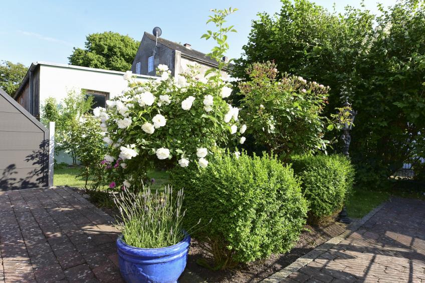 Holiday flat Haus Harde, Wyk-Boldixum - Type B - foto 16