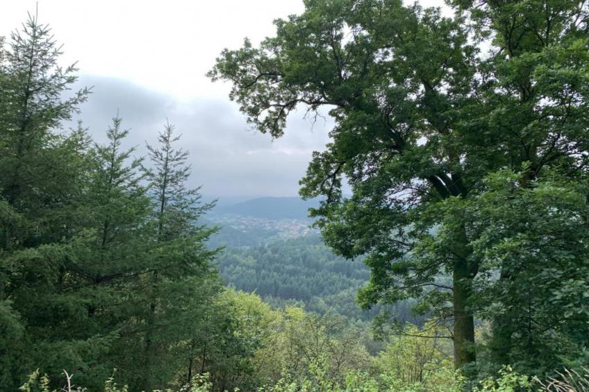 Le Nid du Crâ - foto 32